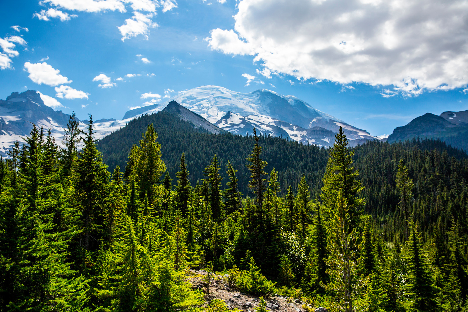 Mount Rainier National Park