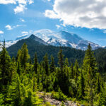 Mount Rainier National Park with trees in the foreground, mountain top with snow in the background and blue skies with clouds