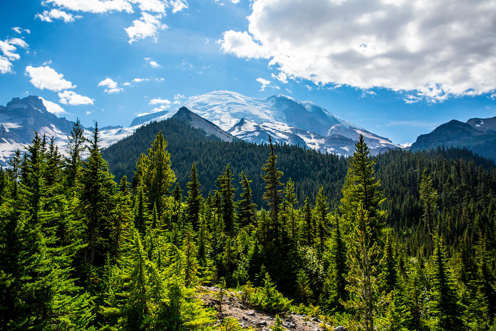 Mount Rainier National Park with trees in the foreground, mountain top with snow in the background and blue skies with clouds